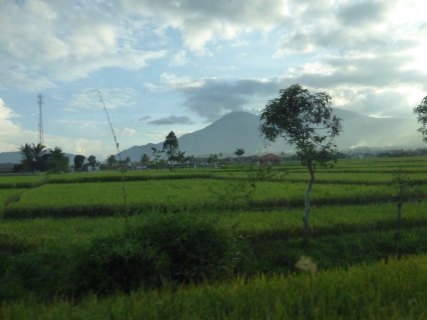 Uitzicht vanuit de trein